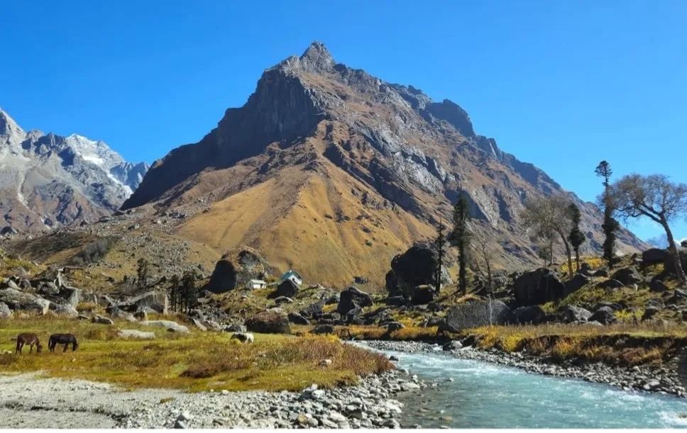 Har Ki Dun valley below the snow peaks